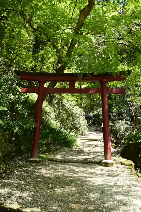 岡寺(龍蓋寺)(奈良県)