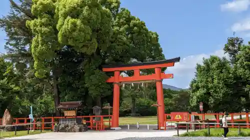 賀茂別雷神社（上賀茂神社）の鳥居