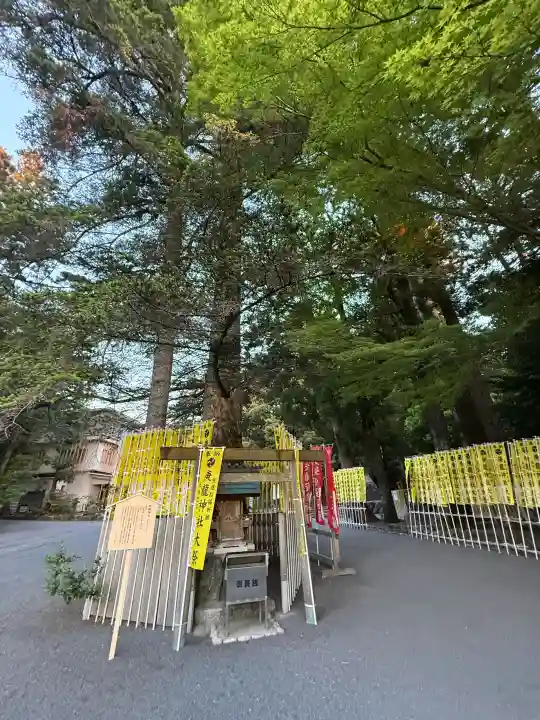 椿大神社(三重県)