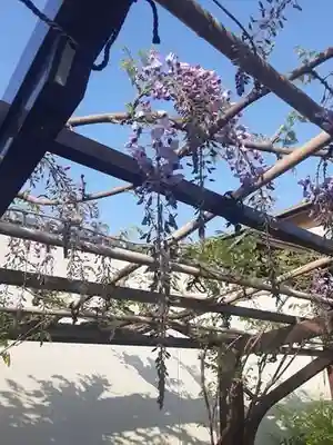 西方山極楽寺の自然