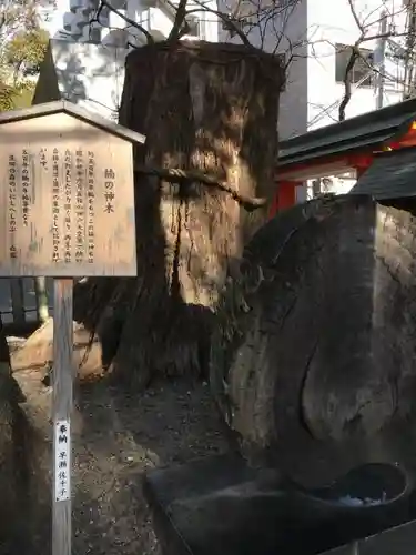 生田神社の自然