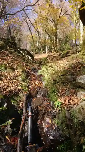 鬼嶽稲荷神社の自然