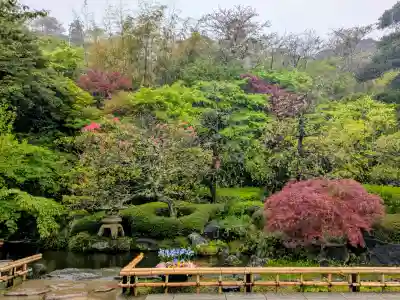 長谷寺の{uncategorized: "未分類", other: "その他", undefined: "問題あり", building: "その他建物", grave: "お墓", sacred_gate: "鳥居", guardian: "狛犬", statue: "像", buddha: "仏像", history: "歴史", nature: "自然", garden: "庭園", animal: "動物", pagoda: "塔", temizu: "手水舎", mountain_gate: "山門・神門", sanctuary: "本殿・本堂", subordinate: "末社・摂社", art: "芸術", scenery: "景色", jizo: "地蔵", ema: "絵馬", goshuin: "御朱印", omikuji: "おみくじ", items: "授与品その他", amulet: "お守り", goshuincho: "御朱印帳", eats: "食事", festival: "お祭り", votive_dance: "神楽", shichigosan: "七五三参", wedding: "結婚式", experience: "体験その他", initially: "初詣", around: "周辺", anti_infection: "感染症対策"}