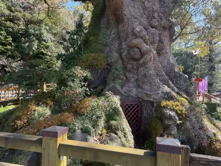 蒲生八幡神社の{uncategorized: "未分類", other: "その他", undefined: "問題あり", building: "その他建物", grave: "お墓", sacred_gate: "鳥居", guardian: "狛犬", statue: "像", buddha: "仏像", history: "歴史", nature: "自然", garden: "庭園", animal: "動物", pagoda: "塔", temizu: "手水舎", mountain_gate: "山門・神門", sanctuary: "本殿・本堂", subordinate: "末社・摂社", art: "芸術", scenery: "景色", jizo: "地蔵", ema: "絵馬", goshuin: "御朱印", omikuji: "おみくじ", items: "授与品その他", amulet: "お守り", goshuincho: "御朱印帳", eats: "食事", festival: "お祭り", votive_dance: "神楽", shichigosan: "七五三参", wedding: "結婚式", experience: "体験その他", initially: "初詣", around: "周辺", anti_infection: "感染症対策"}