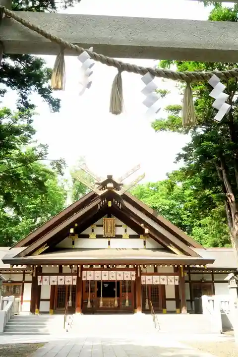 新琴似神社(北海道)