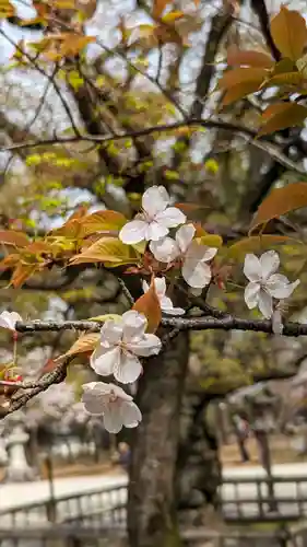 真正極楽寺（真如堂）(京都府)