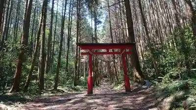 羽黒山神社の鳥居