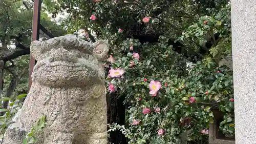 等乃伎神社の狛犬