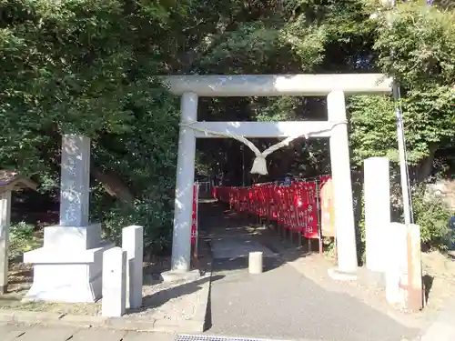 泉神社の鳥居