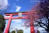 亀戸天神社(東京都)