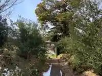 諏訪神社の鳥居