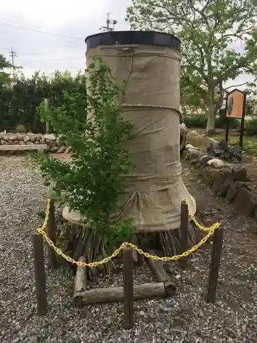 五明稲荷神社の自然