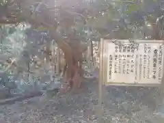 諏訪神社(茨城県)