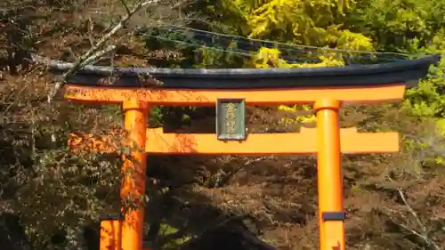 金櫻神社の鳥居