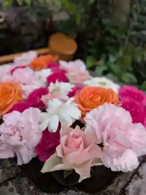 本郷氷川神社(東京都)