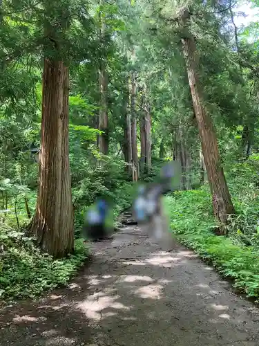 戸隠神社奥社(長野県)