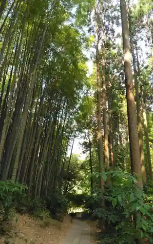 武雄神社の自然