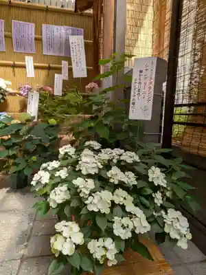 十番稲荷神社(東京都)