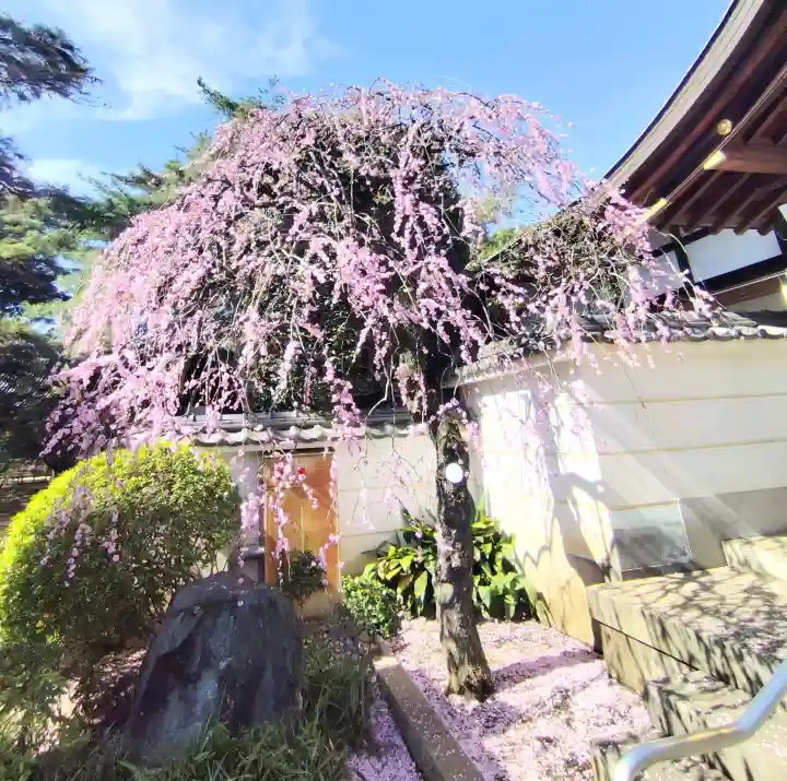 三寳寺の{uncategorized: "未分類", other: "その他", undefined: "問題あり", building: "その他建物", grave: "お墓", sacred_gate: "鳥居", guardian: "狛犬", statue: "像", buddha: "仏像", history: "歴史", nature: "自然", garden: "庭園", animal: "動物", pagoda: "塔", temizu: "手水舎", mountain_gate: "山門・神門", sanctuary: "本殿・本堂", subordinate: "末社・摂社", art: "芸術", scenery: "景色", jizo: "地蔵", ema: "絵馬", goshuin: "御朱印", omikuji: "おみくじ", items: "授与品その他", amulet: "お守り", goshuincho: "御朱印帳", eats: "食事", festival: "お祭り", votive_dance: "神楽", shichigosan: "七五三参", wedding: "結婚式", experience: "体験その他", initially: "初詣", around: "周辺", anti_infection: "感染症対策"}