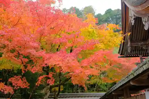 鍬山神社の自然