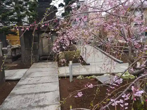 天暁山　一行院(東京都)