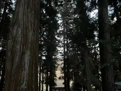 大宮温泉神社(栃木県)