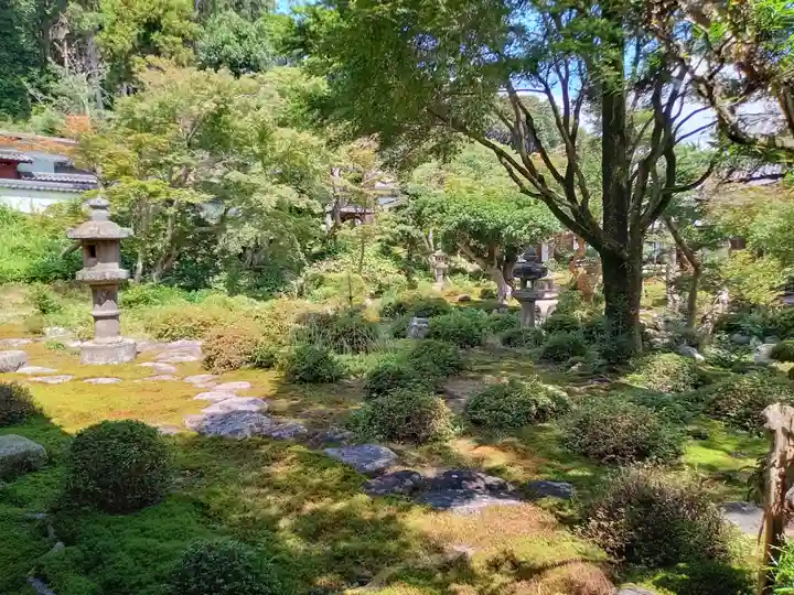 金剛寺(大阪府)