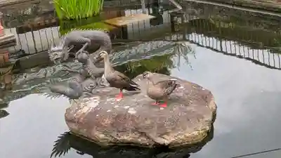 誉田八幡宮(大阪府)