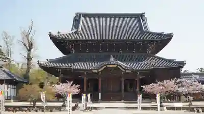 本山専修寺の本殿・本堂