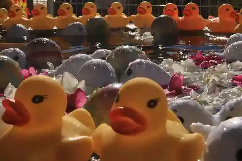 阿邪訶根神社の手水舎