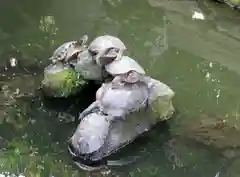 成田山川越別院の動物