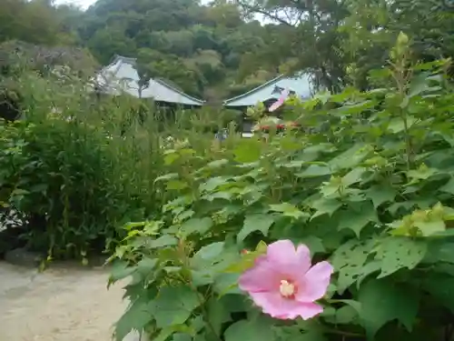 海蔵寺の庭園