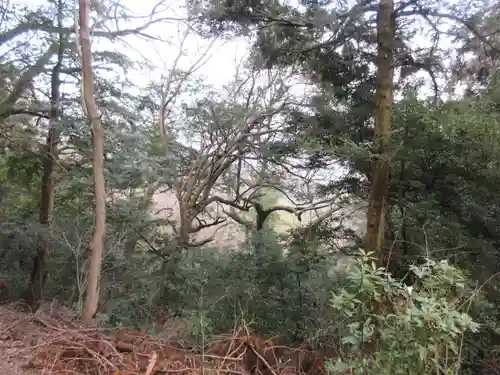 厳魂神社（金刀比羅宮奥社）(香川県)