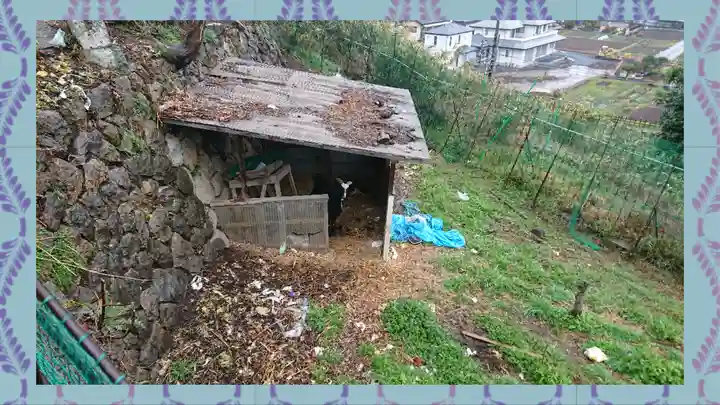賀茂別雷神社(栃木県)