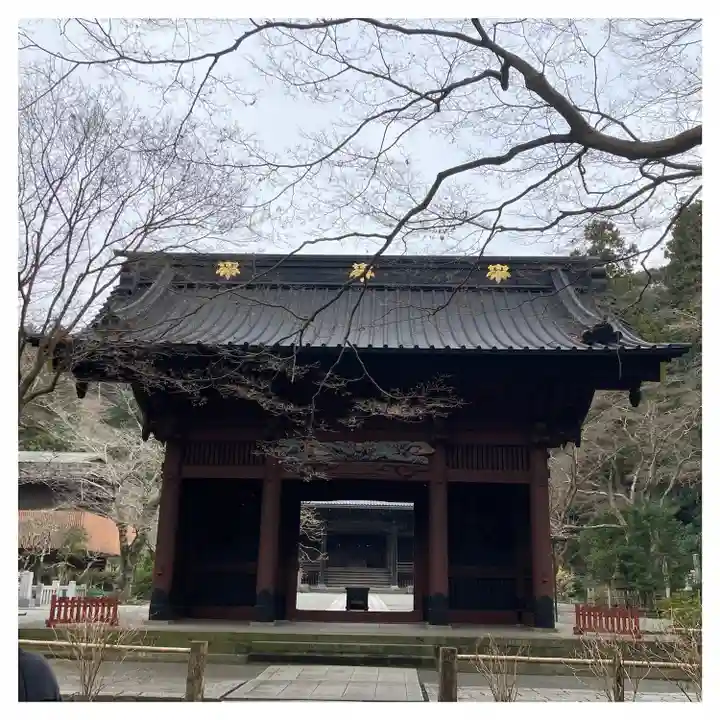 妙本寺の山門・神門