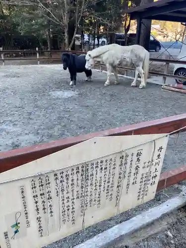 丹生川上神社（下社）の動物