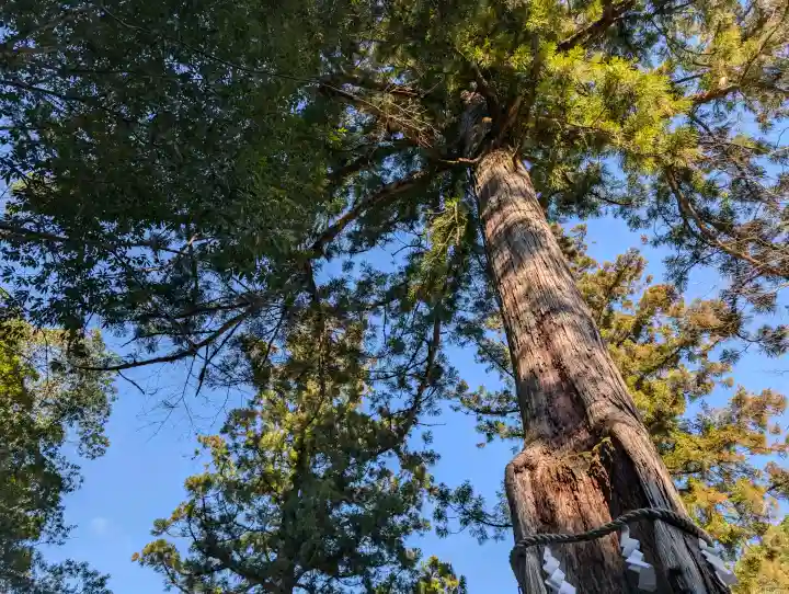 丹生神社(丹生川上神社中社摂社)の{uncategorized: "未分類", other: "その他", undefined: "問題あり", building: "その他建物", grave: "お墓", sacred_gate: "鳥居", guardian: "狛犬", statue: "像", buddha: "仏像", history: "歴史", nature: "自然", garden: "庭園", animal: "動物", pagoda: "塔", temizu: "手水舎", mountain_gate: "山門・神門", sanctuary: "本殿・本堂", subordinate: "末社・摂社", art: "芸術", scenery: "景色", jizo: "地蔵", ema: "絵馬", goshuin: "御朱印", omikuji: "おみくじ", items: "授与品その他", amulet: "お守り", goshuincho: "御朱印帳", eats: "食事", festival: "お祭り", votive_dance: "神楽", shichigosan: "七五三参", wedding: "結婚式", experience: "体験その他", initially: "初詣", around: "周辺", anti_infection: "感染症対策"}