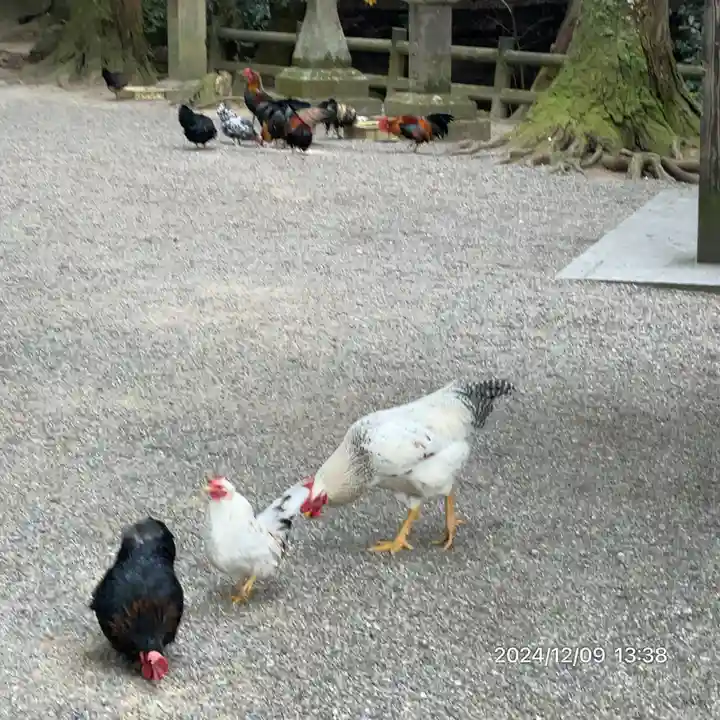 石上神宮(奈良県)