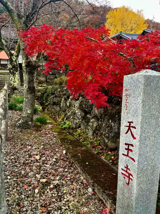 天王寺(福島県)