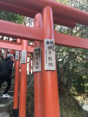 鶴岡八幡宮(神奈川県)