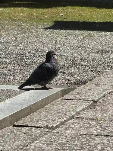 熊野速玉大社の御朱印