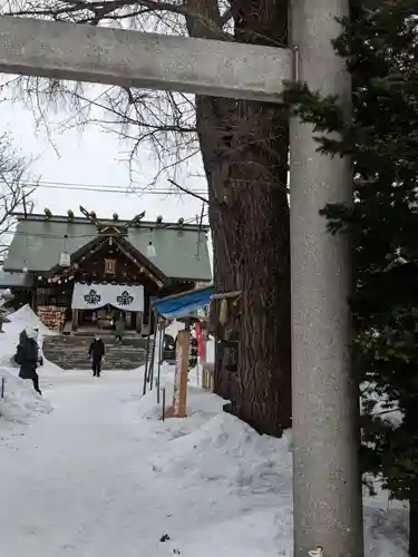 札幌諏訪神社の本殿・本堂