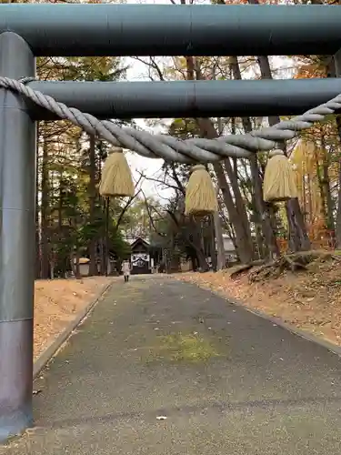 大谷地神社の鳥居