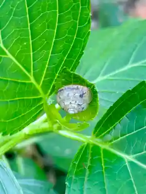 蚊里田八幡宮(長野県)