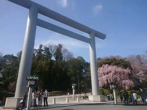 櫻木神社の鳥居