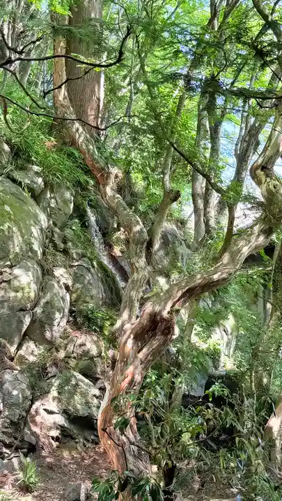 最乗寺(道了尊)(神奈川県)