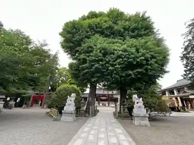 亀ケ池八幡宮(神奈川県)