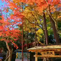 目の霊山　油山寺(静岡県)