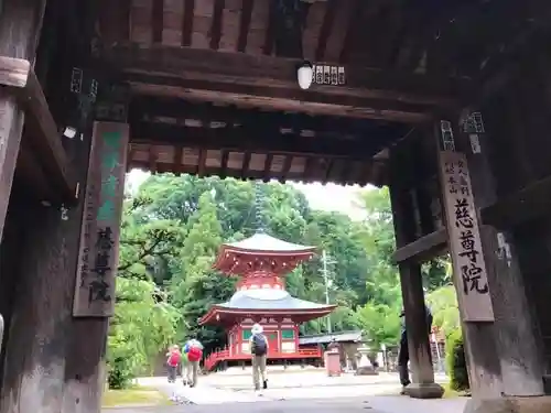 慈尊院の山門・神門