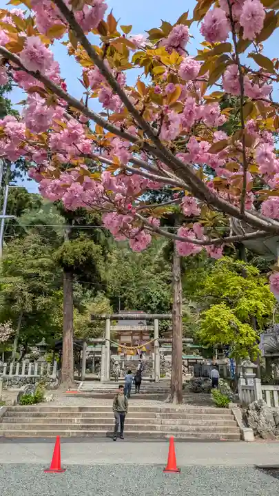 伊香具神社(滋賀県)